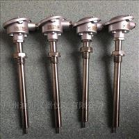 wzp赫(hè)斯曼溫度傳感(gan)器